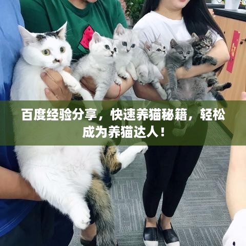 百度經(jīng)驗(yàn)分享，快速養(yǎng)貓秘籍，輕松成為養(yǎng)貓達(dá)人！