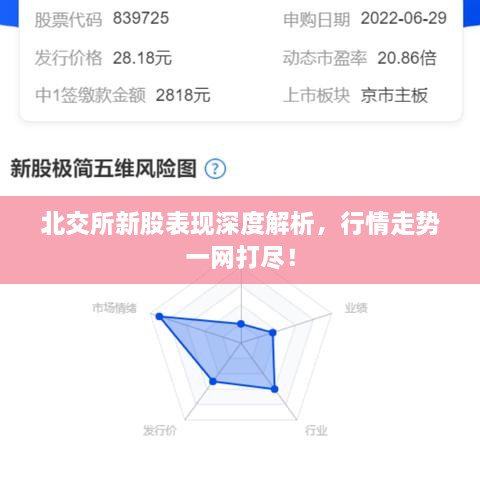 北交所新股表現(xiàn)深度解析，行情走勢一網(wǎng)打盡！