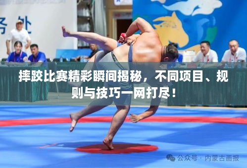 摔跤比賽精彩瞬間揭秘，不同項(xiàng)目、規(guī)則與技巧一網(wǎng)打盡！