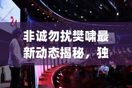非誠(chéng)勿擾樊嘯最新動(dòng)態(tài)揭秘，獨(dú)家爆料吸引眼球！
