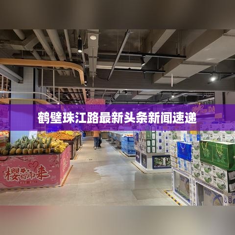 鶴壁珠江路最新頭條新聞速遞