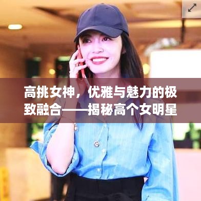 高挑女神，優(yōu)雅與魅力的極致融合——揭秘高個女明星的魅力風(fēng)采