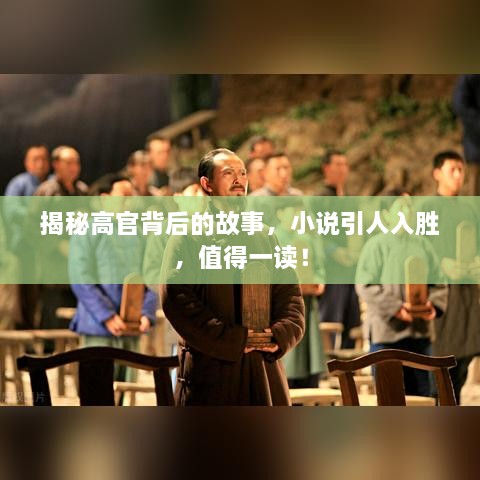 揭秘高官背后的故事，小說引人入勝，值得一讀！